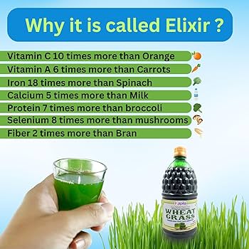 wheatgrass benefits () wheatgrass benefits