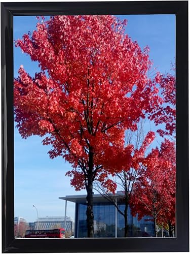 Vista 86 de Medog Marco de póster de 24 x 36 pulgadas, color negro, paquete de 2 marcos para fotos de 24 x 36 pulgadas, marco de galería de estudio, marco de 2P