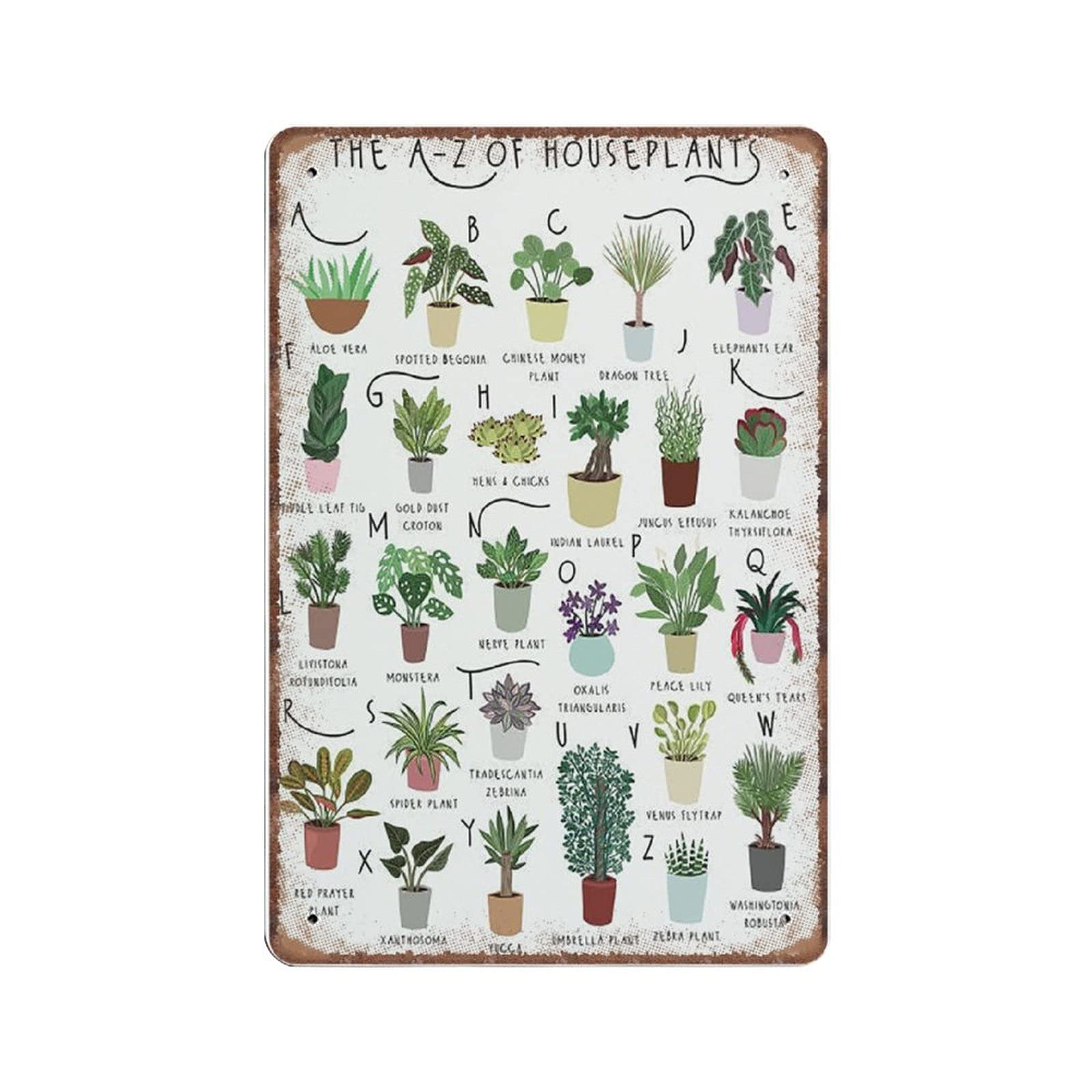 Amazon.de: Az of Houseplants, Pflanzenposter, Zimmerpflanzendruck,  Alphabetdruck, Arten von Zimmerpflanzen, Retro-lustiges Metallschild,  Vintage-Poster, Wandkunst fr Kche, Garten, Badezimmer, Bauernhof, Heimde
