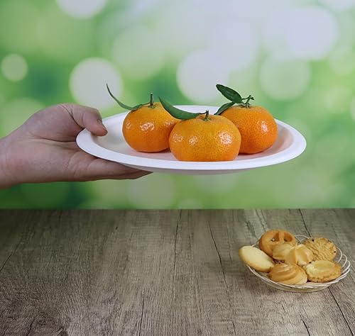 Miniatura 2 de Platos compostables de 9 pulgadas, 100 unidades de caña de azúcarbagazo y fibra de bambú biodegradable plato de papel desechable