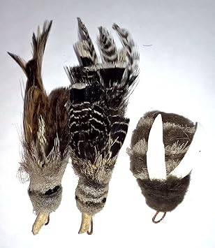 Bird and Bee Pack Refill/Attachment Finch, Gila and Bee - Fits Wildcat and Popular Bird and Mouse Type Wands/Poles