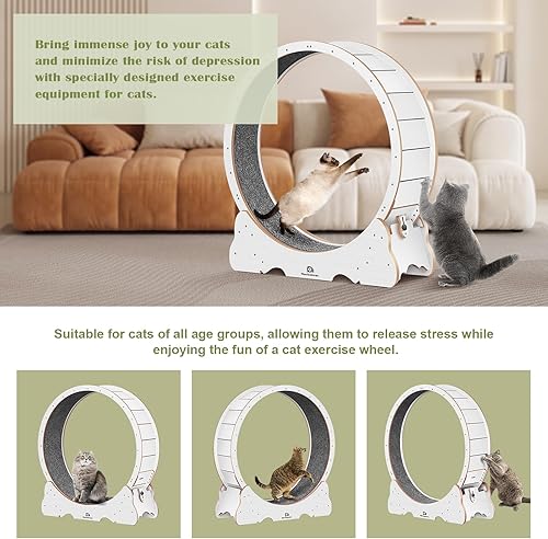 Miniatura 3 de Rueda para gatos, cinta de correr grande XL de 45 pulgadas, rueda de ejercicio para gatos con pista alfombrada, rueda de correr para gatos de