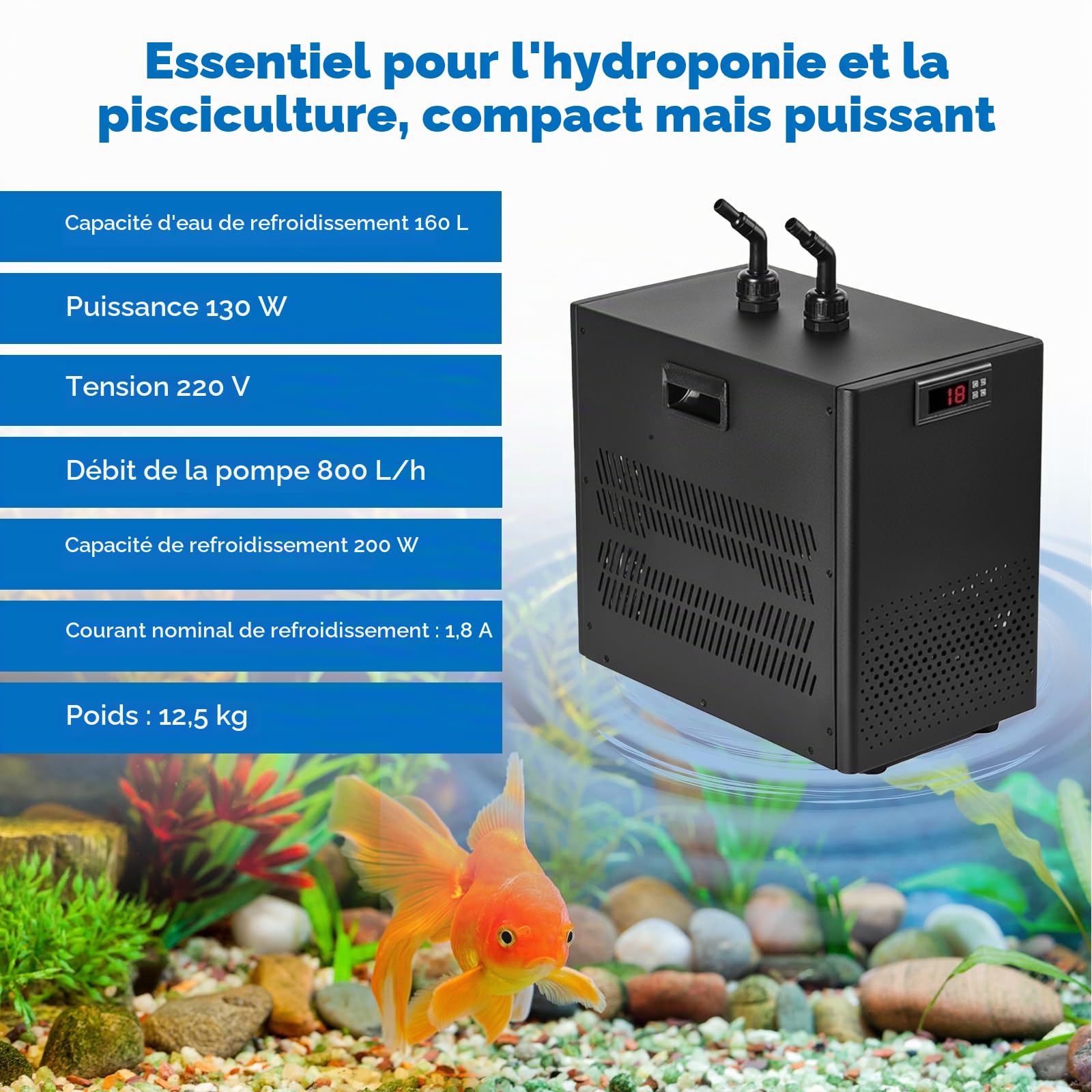 Refroidisseur d'eau D'aquarium 160L,Groupe Froid Aquarium Refroidisseur d'eau pour Groupe Froid Aquarium Aquarium Refroidisseur pour l'hydroponie Mauvaises Corail Méduses Crevettes Cristal