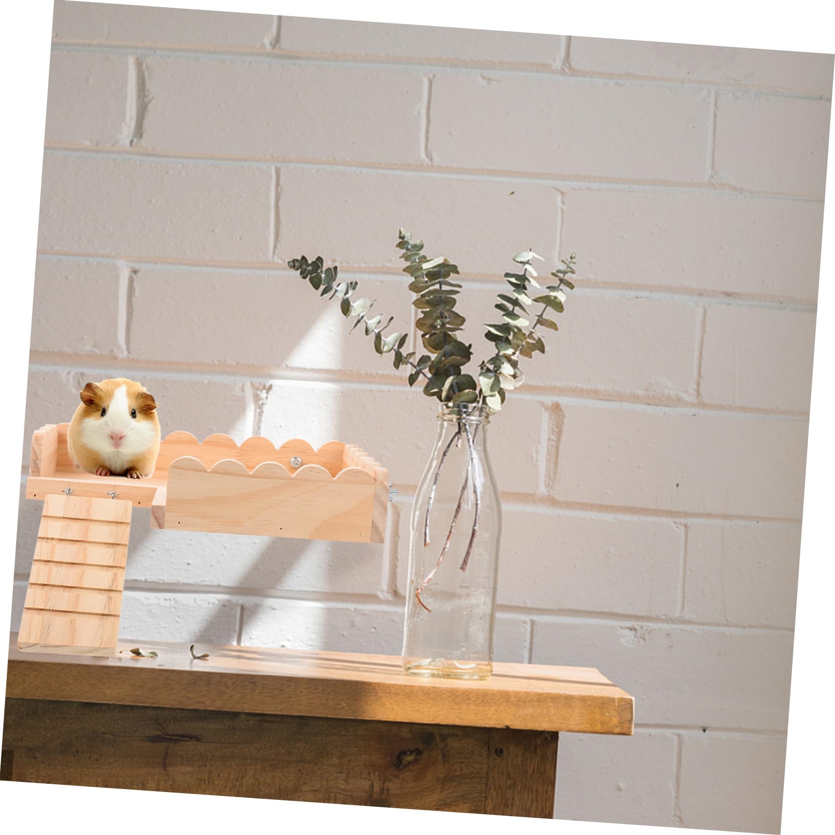 Spielzeugplattform Schraubmontage Holz mit Hamster und Meerschweinchen