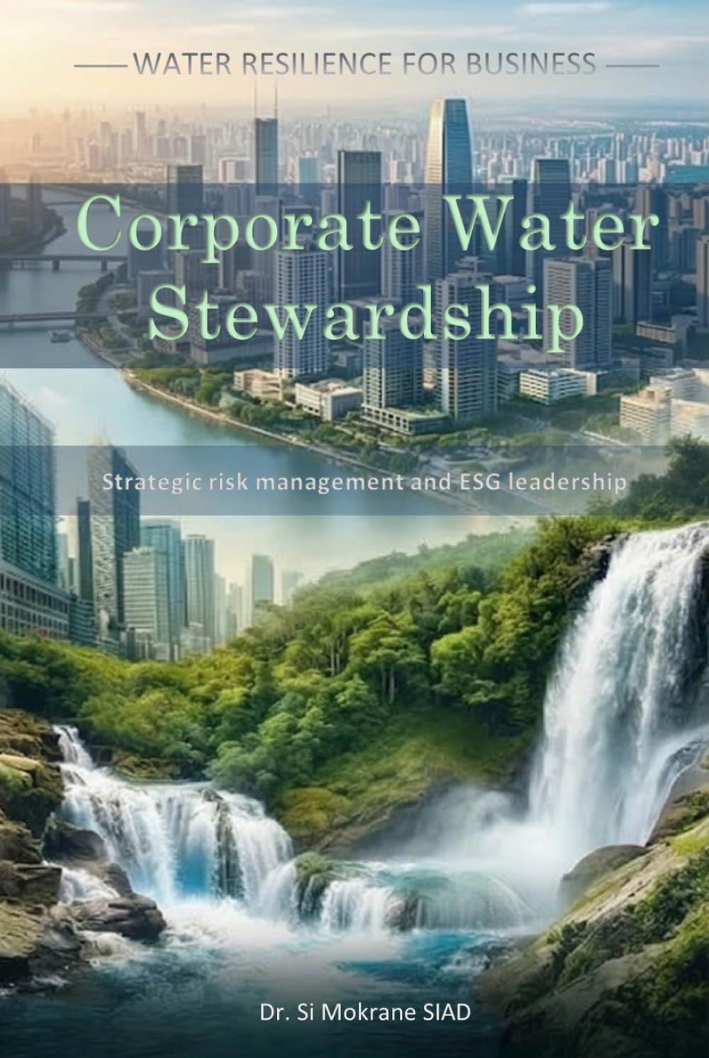 Corporate Water Stewardship: Data-Driven Frameworks for Water Strategy and ESG Reporting (Water Resilience for Business)