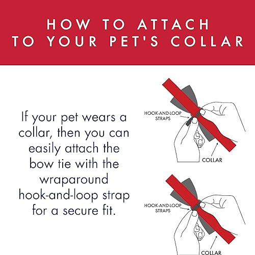 Miniatura 4 de Huxley & Kent Paquete para perros del 4 de julio  Extra grande  Lil Firecracker Bone & Paws & Stripes Bow Tie  Juguete de peluche chirriante y