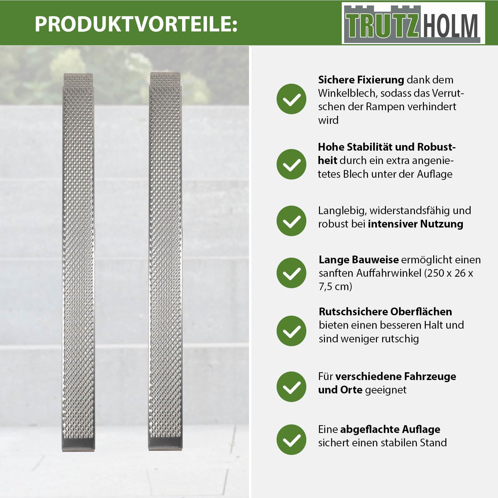 TRUTZHOLM 2X Auffahrrampe Alu Länge 250 cm Tragkraft 1000 kg profilierte Lauffläche vernietetes Blech