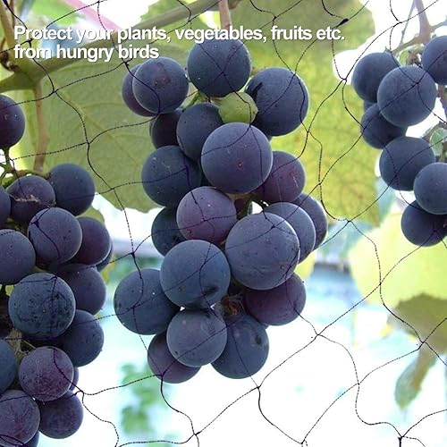Miniatura 3 de Red antipájaros, red de jardín de malla de 50 x 100 pies, red de aves de corral para árboles frutales, red de nailon para aves de corral, aves de