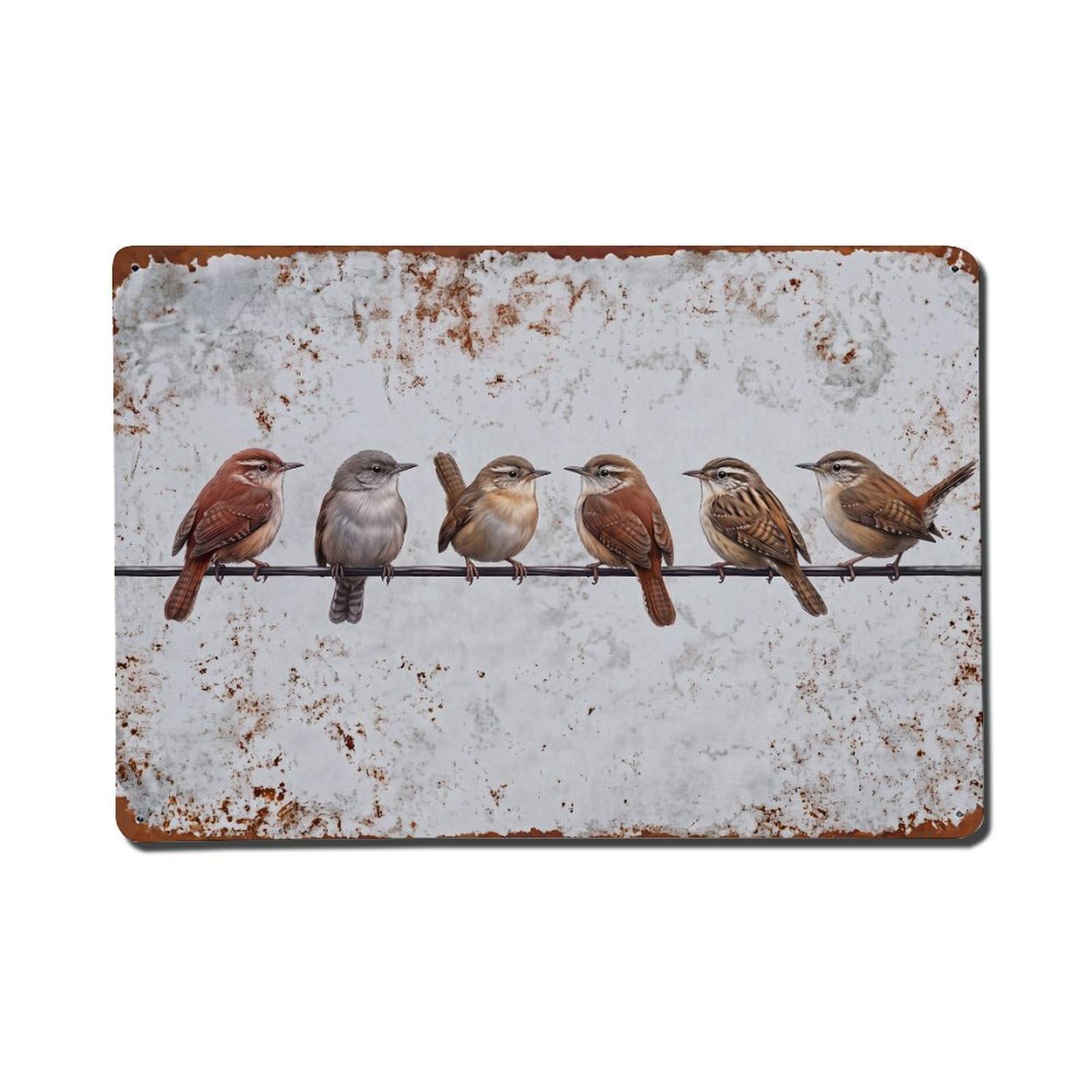 Vintage Retro Birds Wren Metal Tin Sign