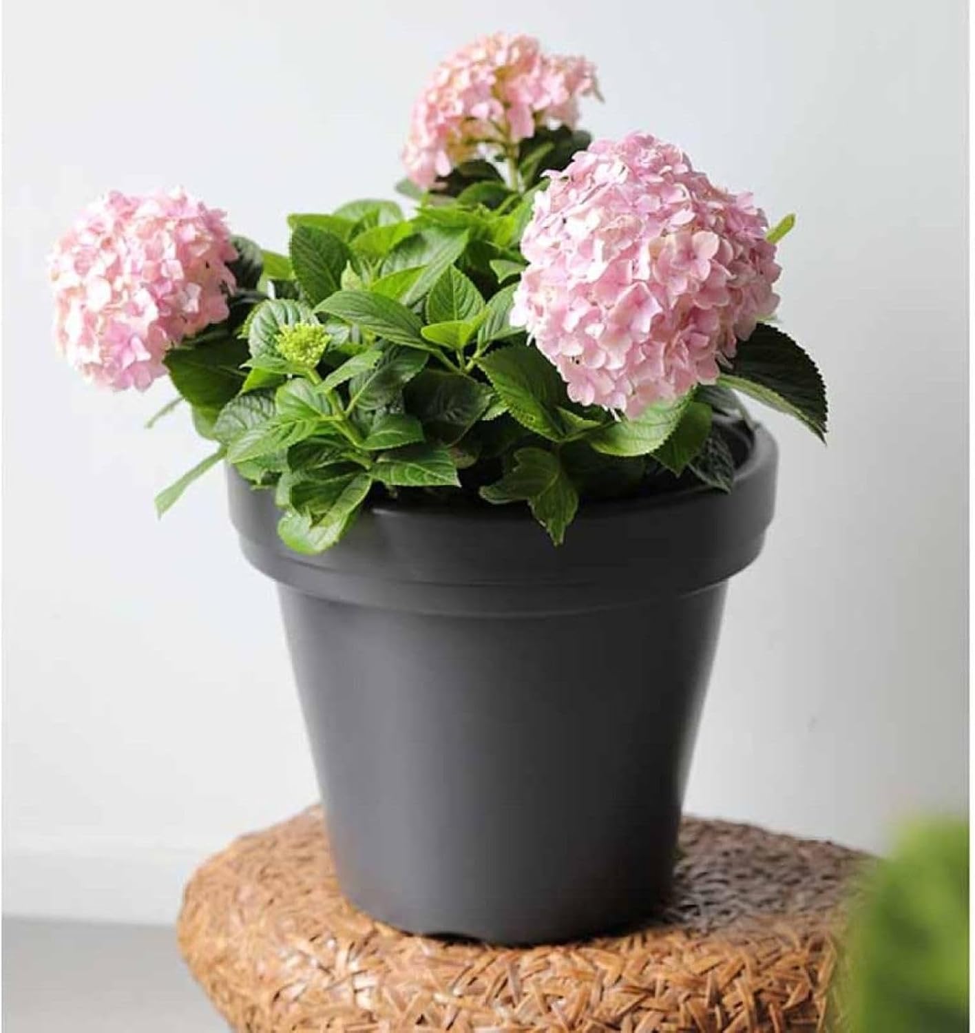植木鉢 観葉植物鉢 M プラスチック 排水穴付き シンプル 円形 鉢カバー 鉢は部屋 室内 屋外観葉植物 お洒落 多肉 サボテン 植