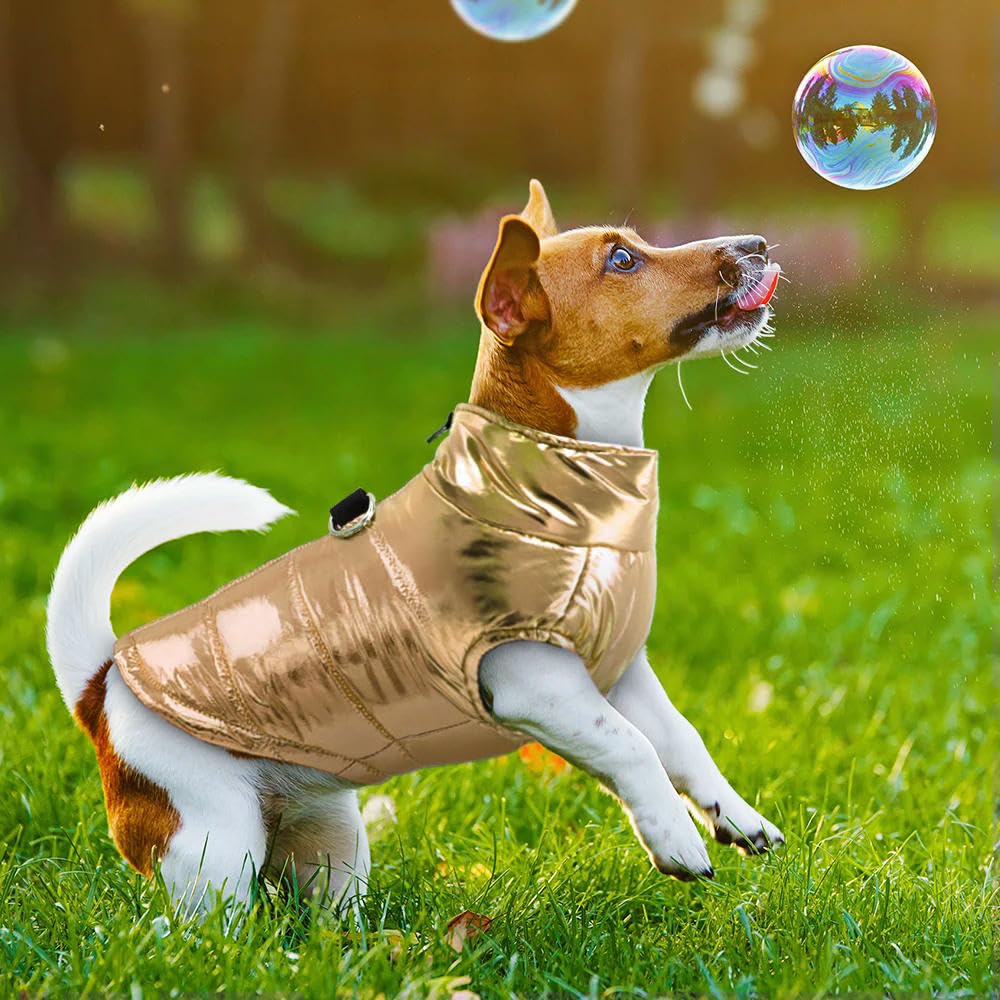Ropa para Perros pequeños Ropa para Perros Cachorros Chaqueta para Mascotas Chaleco cálido de Invierno Abrigo para Perros Ropa para Chihuahuas Bulldog francés