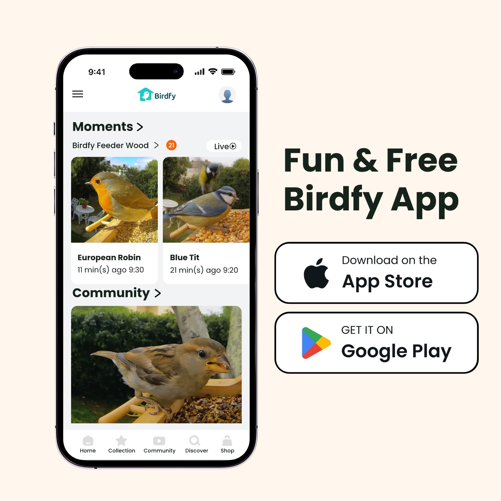 Smartes Vogelfutterhaus mit Kamera, Birdfy VogelFutterspender aus Holz, solarbetrieben, KI-Erkennung für 6000+ Vogelarten, 1080P Hochformat, wetterfest, App Live-Ansicht, YouTube&Facebook Streaming