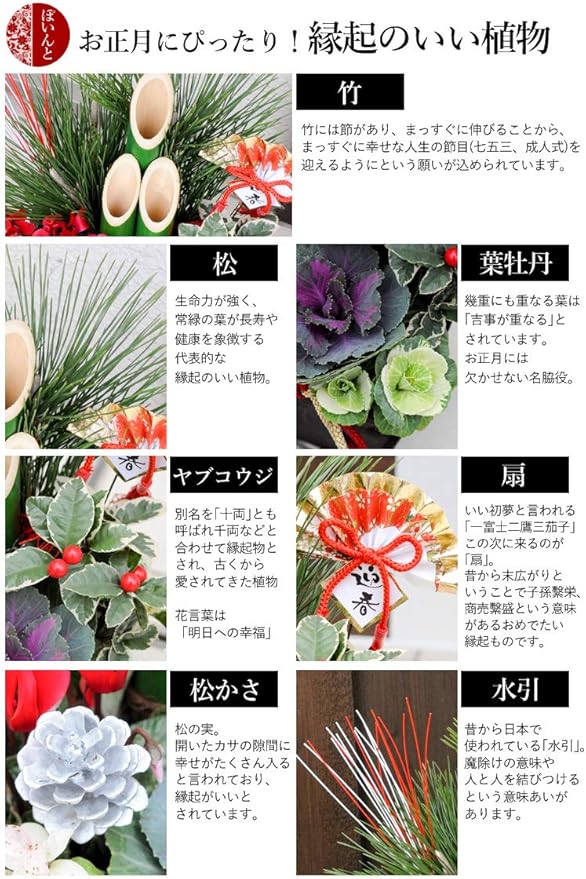 Amazon フラワーマーケット花由 お正月 門松 寄せ植え In ウッドボックス 12月30日お届け 観葉植物 オンライン通販 Amazon フラワーマーケット花由 お正月 門松 寄せ植え In ウッドボックス 12月30日お届け 観葉植物 オンライン通販