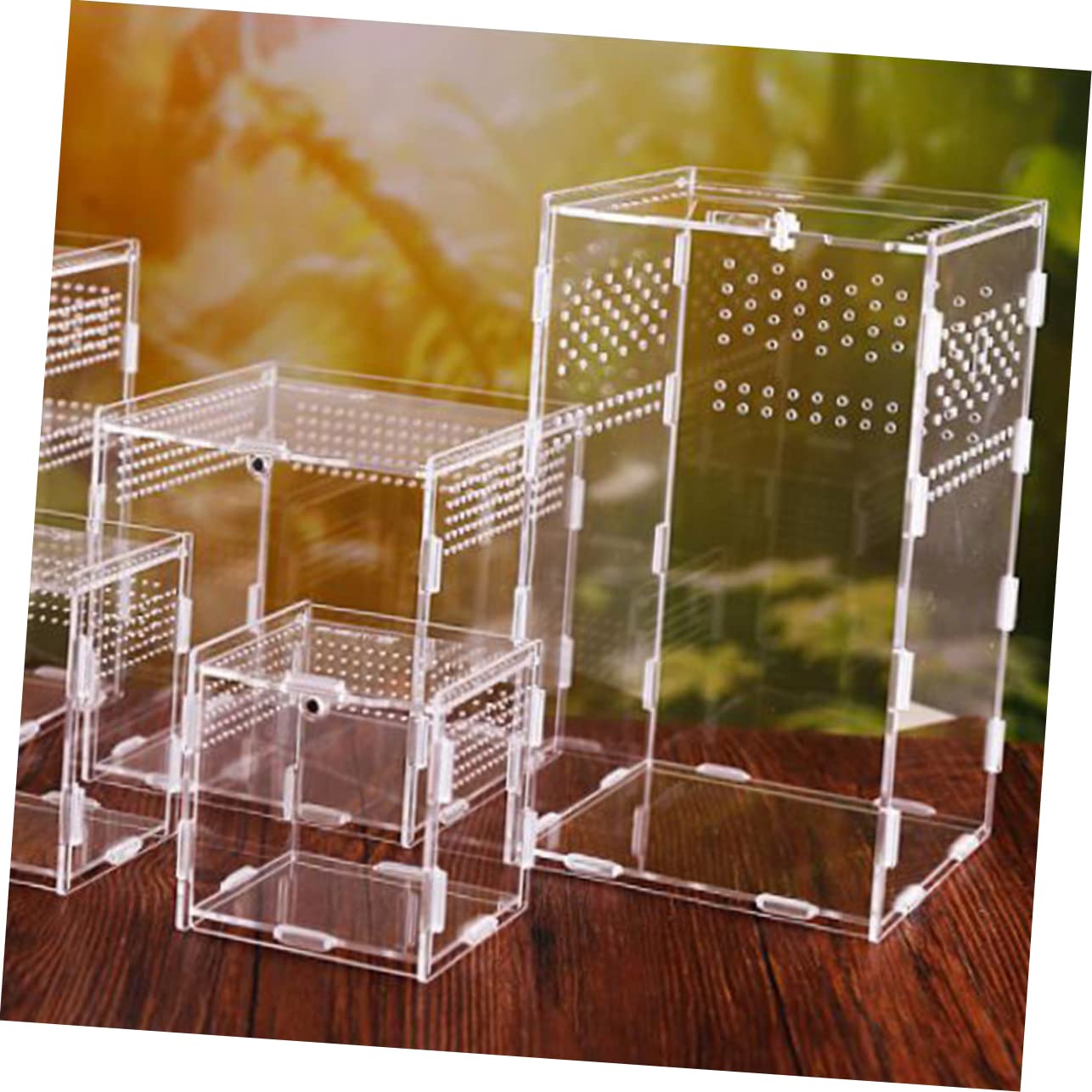 COLLBATH Caja terrario Reptiles terrarios para Reptiles hábitat del geco Nido terrario de Reptiles casa Enredadera Suministros para Reptiles Animal Insecto