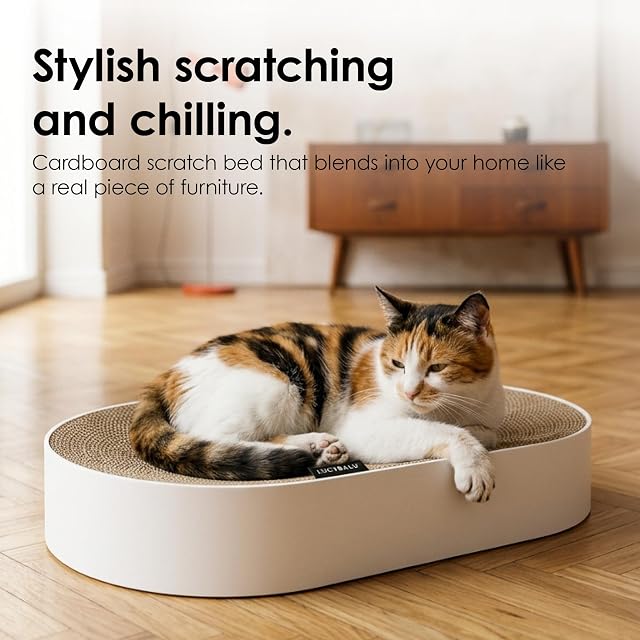 Foto 2 de 8 de LucyBalu® SCRATCHBED - Cama rascador para gatos, de cartón, XXL, redonda, de cartón antiarañazos para gatos…