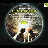 その他 Pelleas Et Melisande [DVD] [Import] Amazon.com: Pelleas Et Melisande: CDs & Vinyl