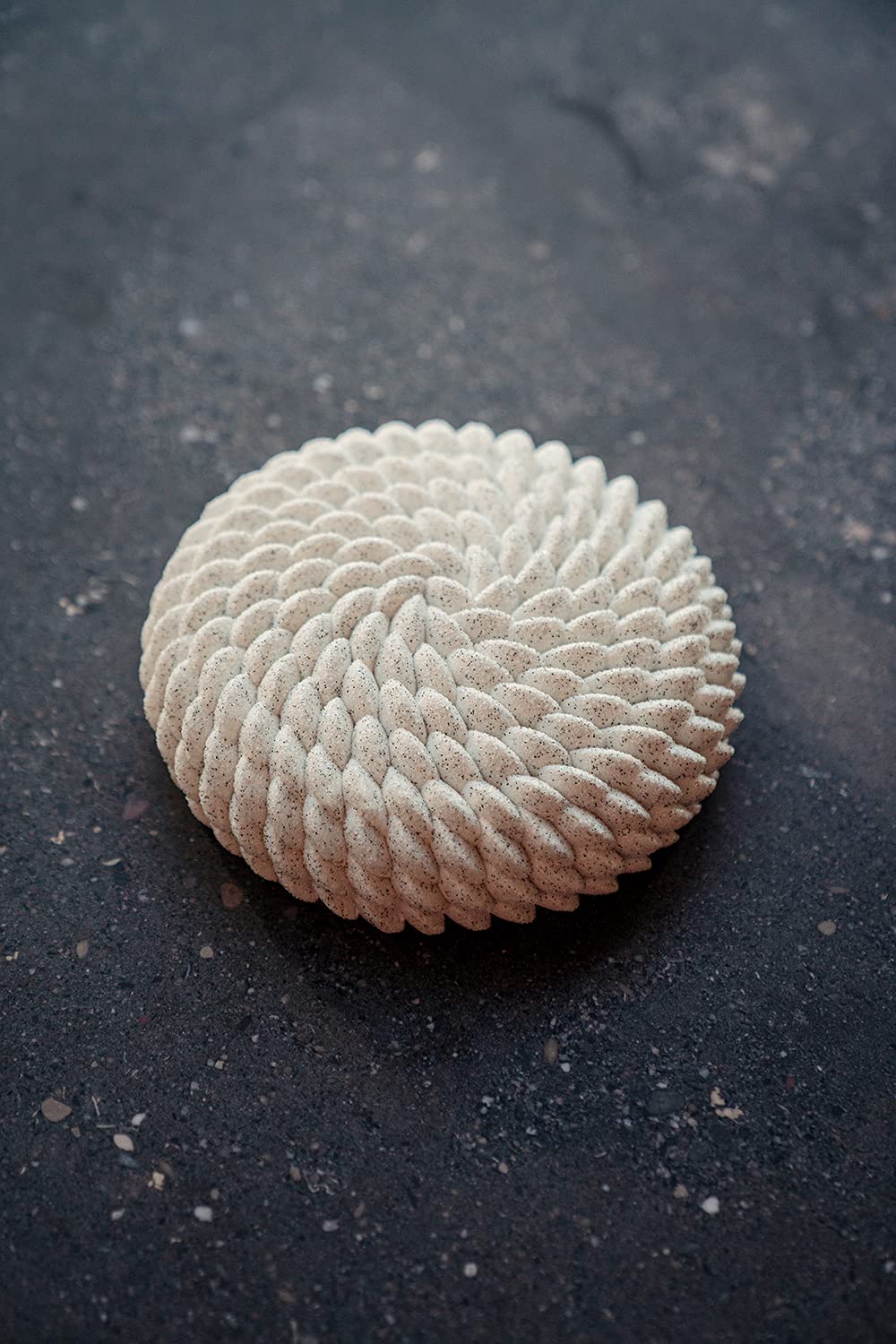 Pavoni Moule Façon Saint-Honoré by Cédric Grolet - 1 cavité (Ø18cm)