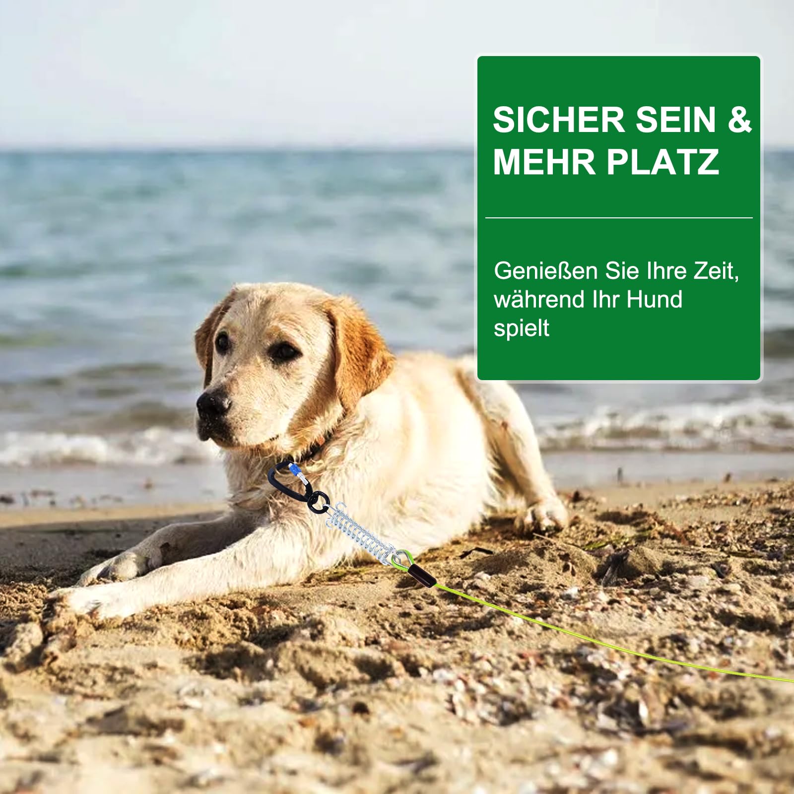 Hofleine para perros, 9 m Hofleine Hofleine Tie Out Lino, cable para perros con cierre de rosca, correa de patio con muelle amortiguador de hasta 1000 kg, correa resistente a mordeduras para camping