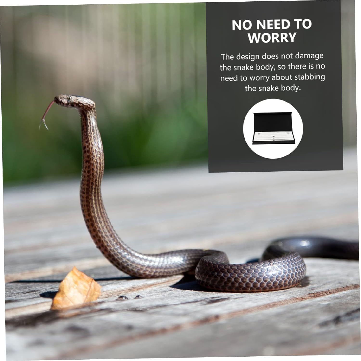 ORFOFE Reusable Snake Gender Detector Stainless Steel Snake Probe Kit Easy to Use Clean and Perfect for Reptile Gender Detection