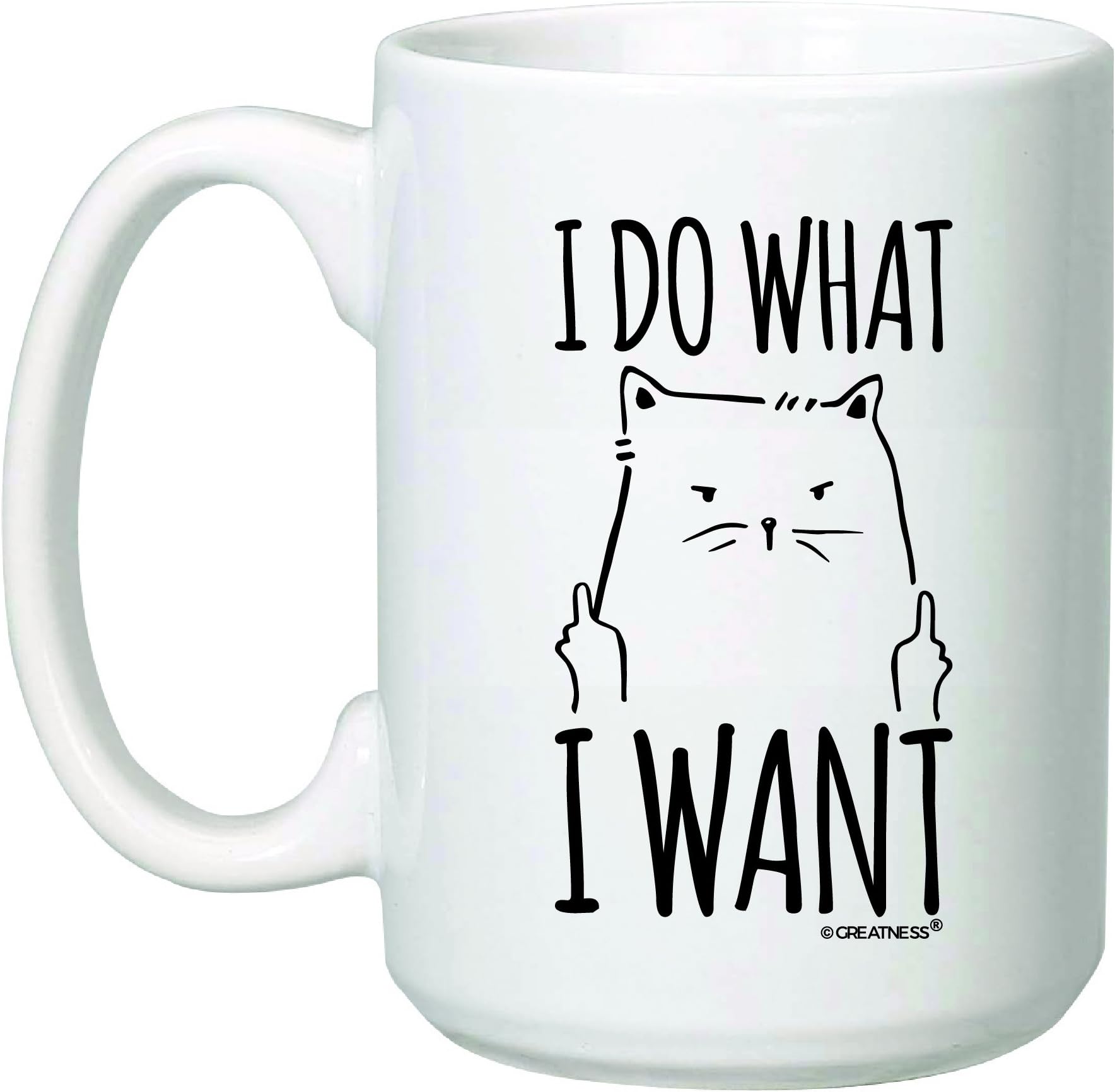 15 oz I Do What I Want Cat Coffee Mug - Funny Grumpy Cat - Rude Cat - Bold Cat Statement