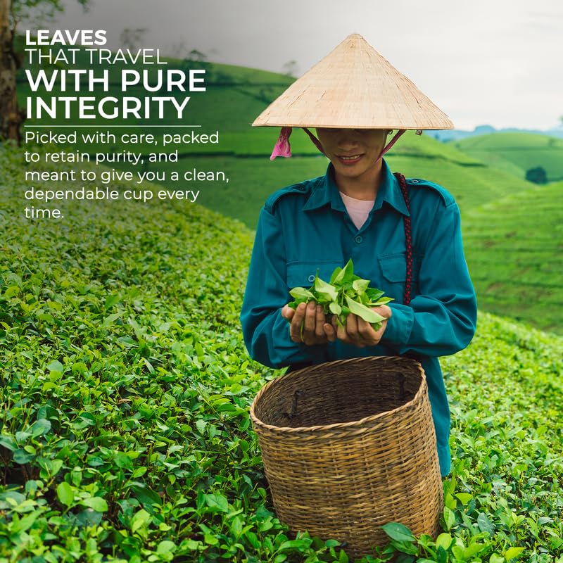 Image of Marvel Tea Red Rose Tea (500 Gms)