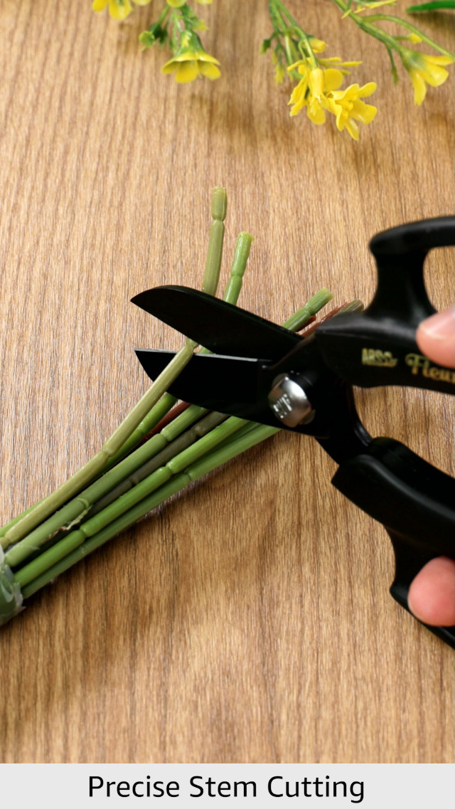 アーチスト hiro C オリジナル デスアンドオールヒズフレンズ Amazon.com : Ars Corporation FP-17-BK Commercial Flower Scissors