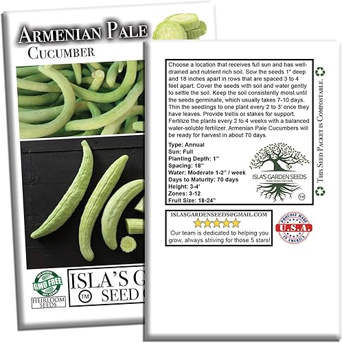 Miniatura 7 de Isla's Garden Seeds - Semillas de pepino verde pálido armenio (Cucumis sativus) – Más de 100 semillas tradicionales y sin OMG para plantar, pepinos