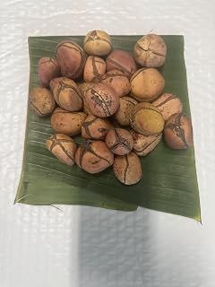 Organic Obi Abata Cola Nuts, Traditional African Kola, Fresh Whole