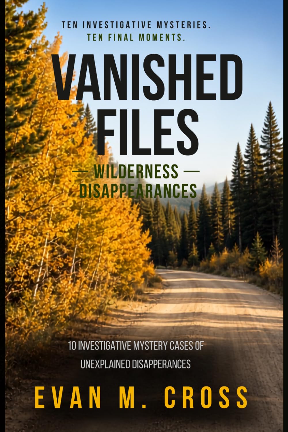 Vanished Files: Wilderness Disappearances: 10 Mystery Disappearance Stories Inspired by True Crime Patterns
