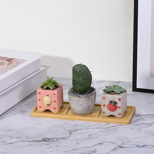 Miniatura 5 de PATIKIL Platillo para macetas de 8 x 3 pulgadas, paquete de 2 bandejas rectangulares de bambú para goteo de flores para el hogar e interiores