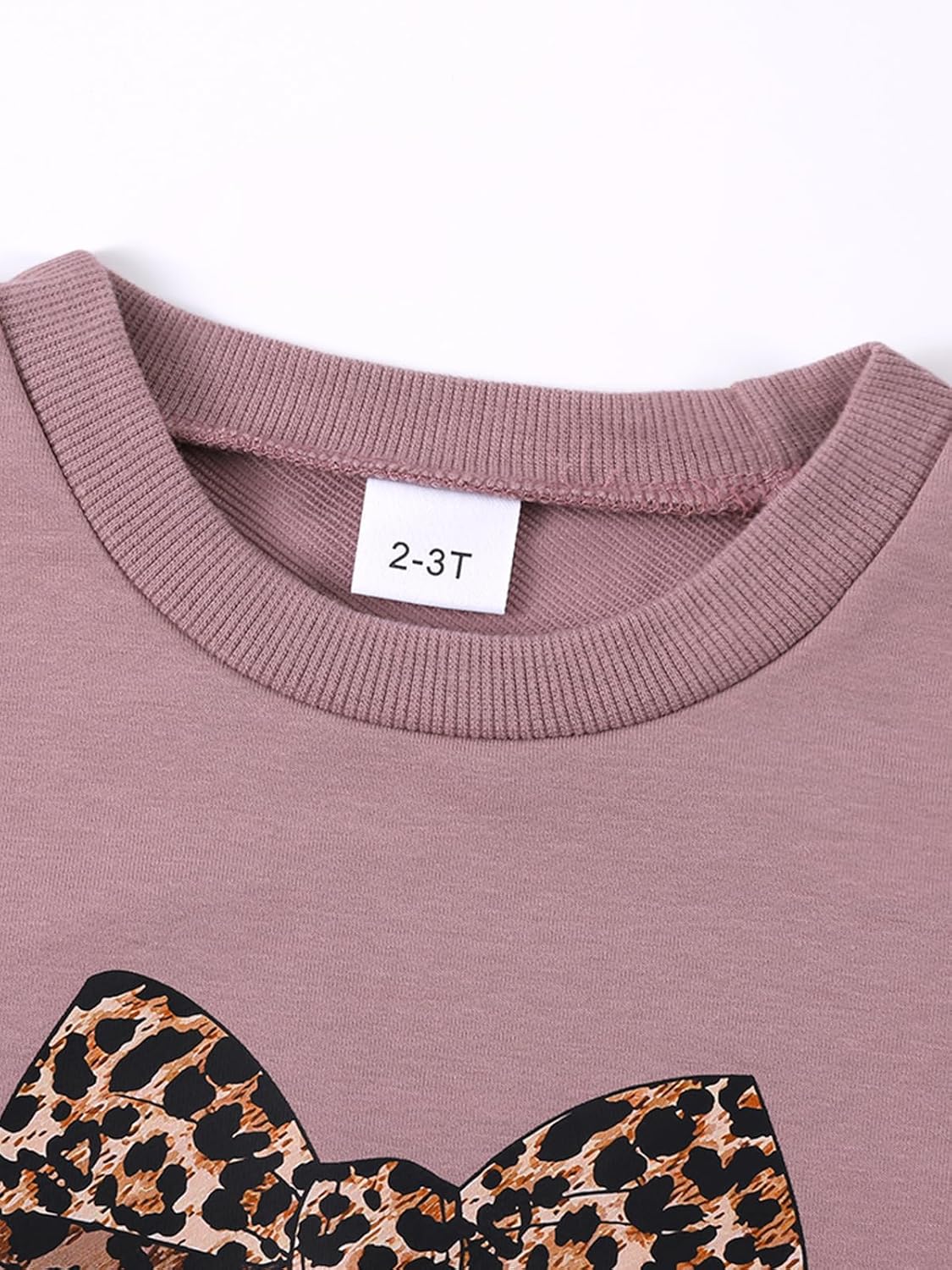 ESHOO Toddler Girl Clothes 2 Piece Leopard Outfits Long Sleeve Sweatshirt Pants Tracksuit Fall Winter Clothing Set 2-7T - Image 6