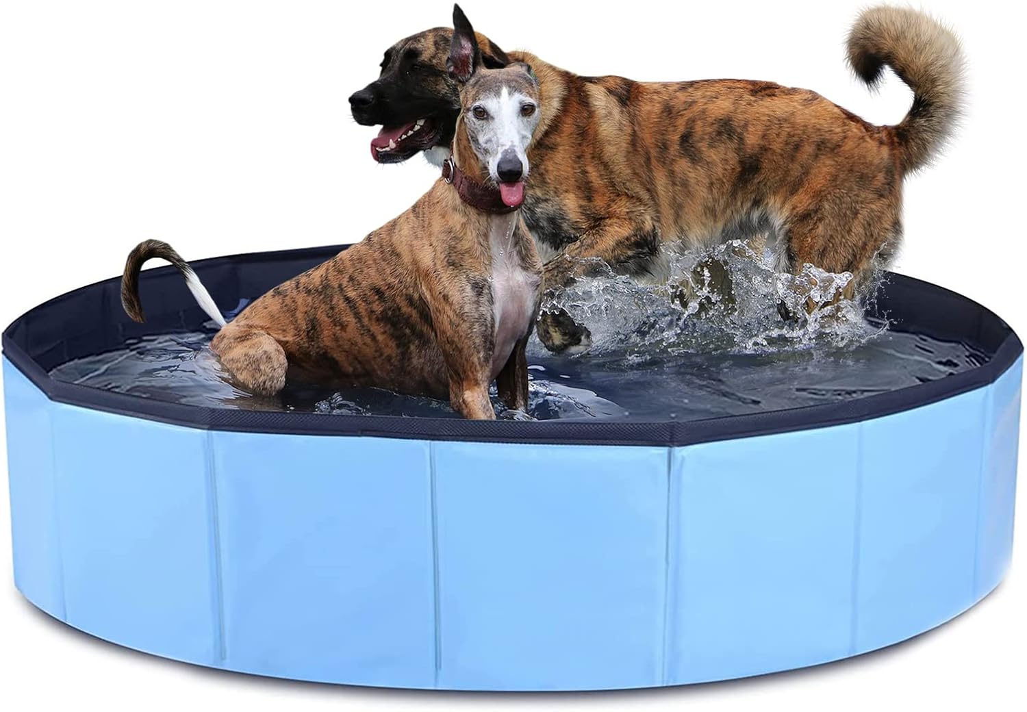 Luapeton Foldable Dog Pool, Hard Plastic Dog Swimming Pool for Pet Dogs and Cats, Portable Collapsible Bathing Tub for Dogs Cats(Large=48")