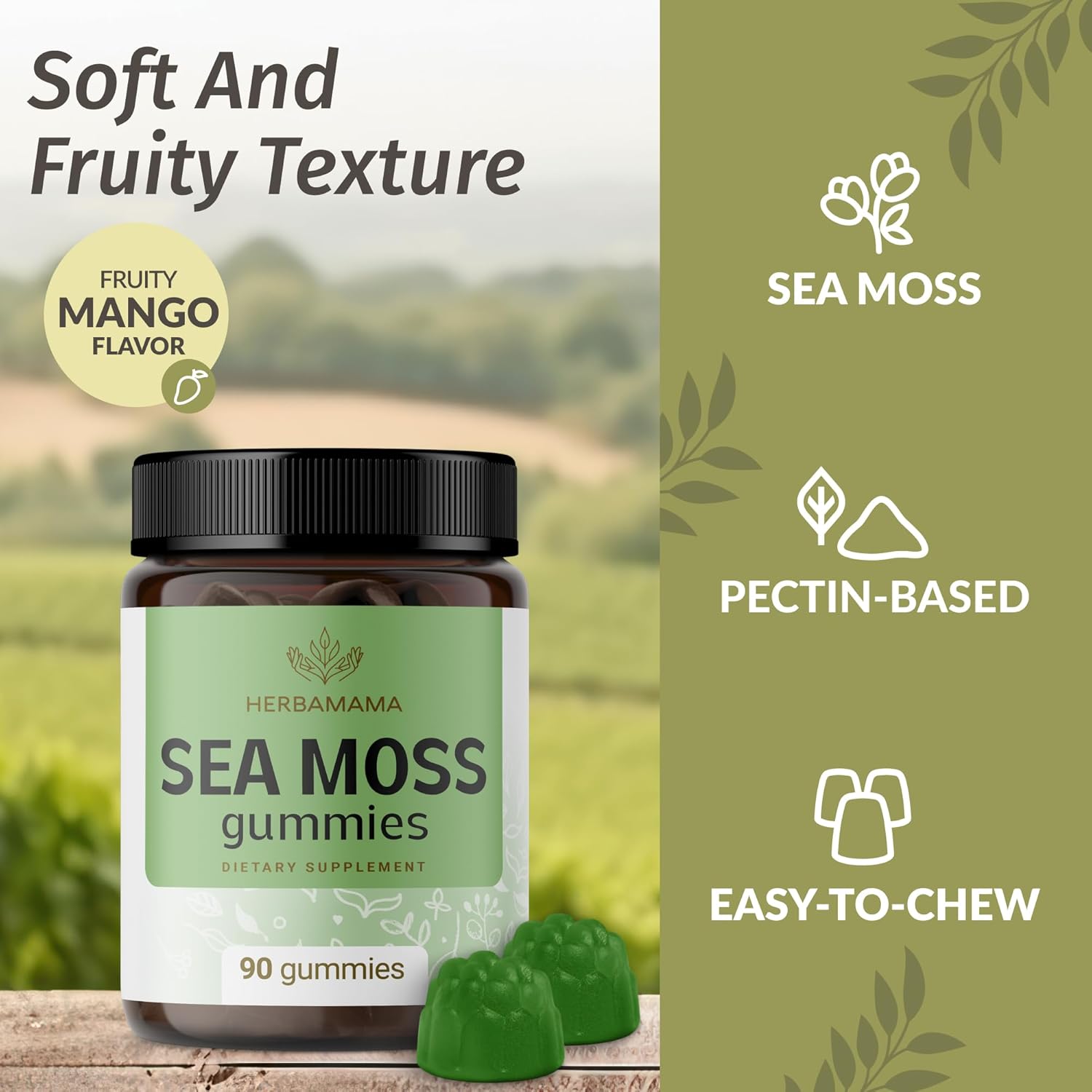 HERBAMAMA Sea Moss Gummies - 1600 mg True Sea Moss Gummies for Thyroid Support – Immune Support Supplement with Bladderwrack and Burdock Root - Vegan, Non-GMO - 90 Count (45 Servings)