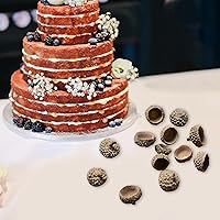 Vista 9 de SM SunniMix 100 tapas de bellotas naturales auténticas rústicas de bellotas decorativas para el hogar, bricolaje, Acción de Gracias, Navidad