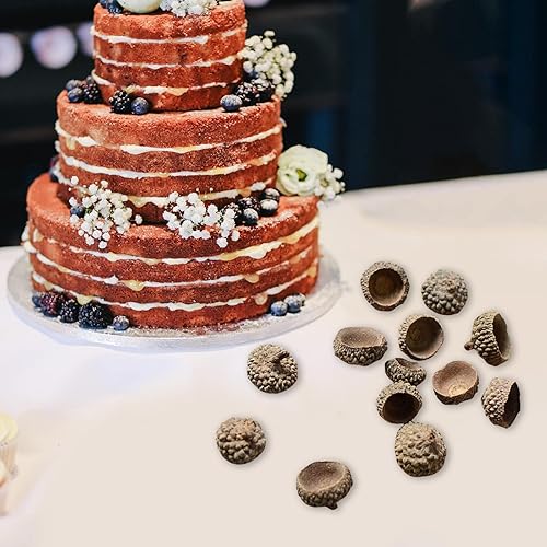 Miniatura 9 de SM SunniMix 100 tapas de bellotas naturales auténticas rústicas de bellotas decorativas para el hogar, bricolaje, Acción de Gracias, Navidad,