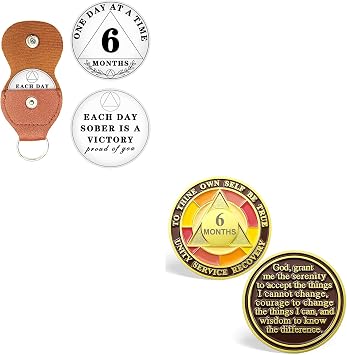 6 Month One Day at A Time Sobriety Chip, 6 Month Tri-Plate AA Chip