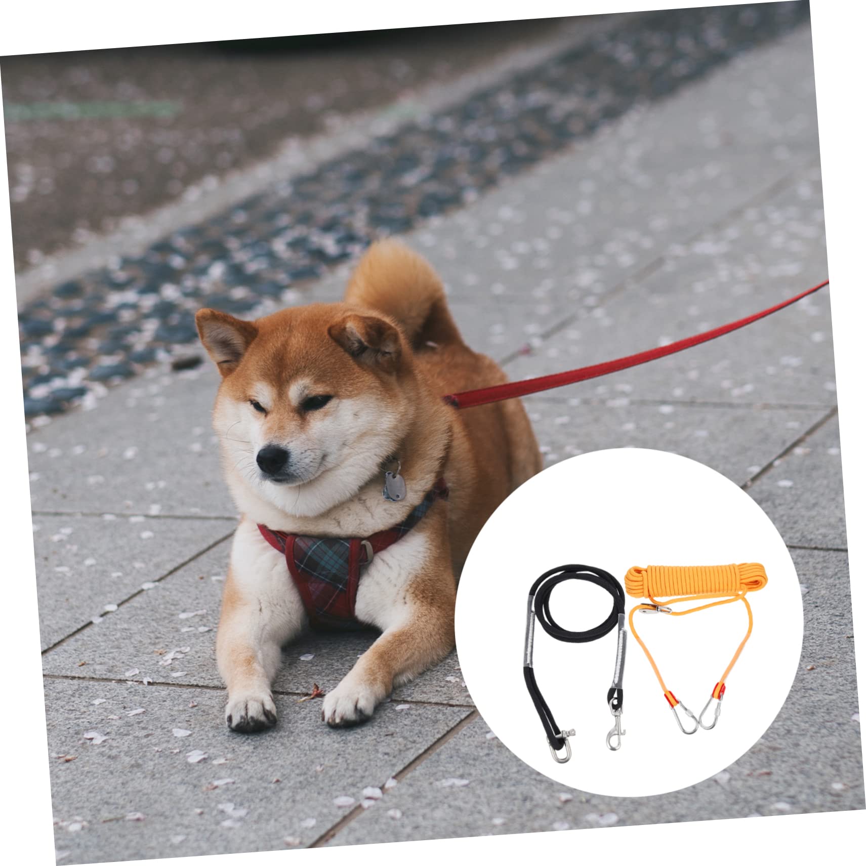 BESPORTBLE Cordel para Perros Correa Extensible Gancho para Mascotas Resistente y