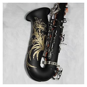 Amazon | プロフェッショナル サックス マットブラックカラー