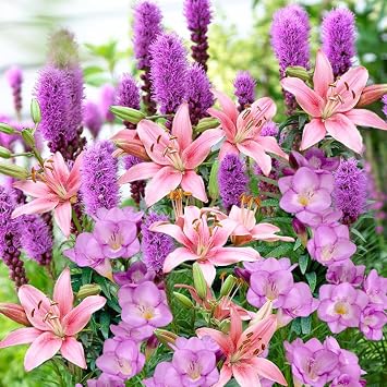 28 Easy-to-Plant Bulbs - Tutti Frutti Punch Flower Bulb Mix Freesias, Lilies, Spicatas Fragrant & Colorful Summer Garden Bloom Set
