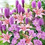 28 Easy-to-Plant Bulbs - Tutti Frutti Punch Flower Bulb Mix &ndash; Freesias, Lilies, Spicatas &ndash;...