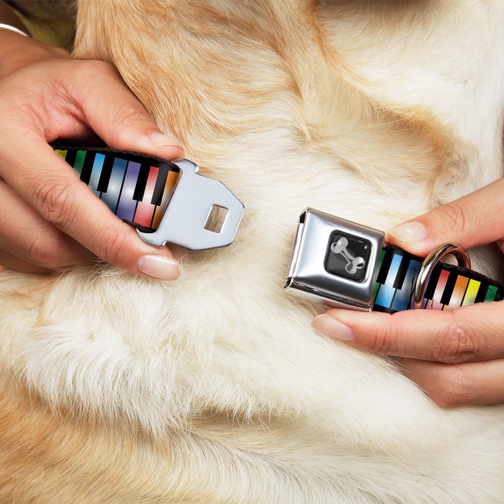 Buckle-Down Seatbelt Buckle Dog Collar - Piano Keys Rainbow - 1.5" Wide - Fits 18-32" Neck - Large
