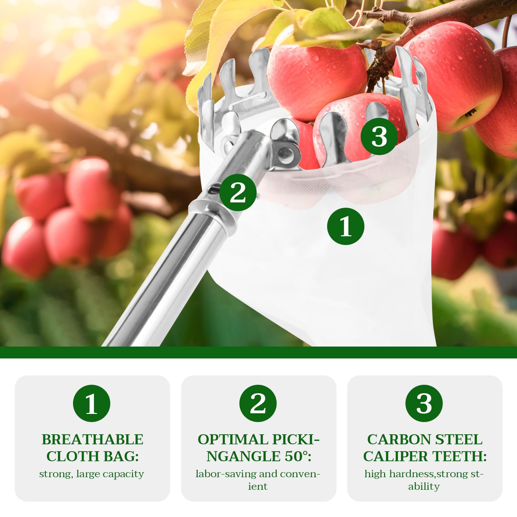 Raccogli frutta con manico telescopico, in acciaio inox, 4,2 m, raccogli mele, ciliegie, lunghezza regolabile, raccolta prugne, frutta con sacchetto di cotone