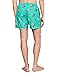 Chubbies The Cockadoodle Doozies Teal 5.5" (Classic Lined Swim Trunks) - #4 of 5