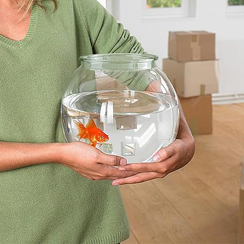 Miniatura 5 de Cuenco pequeño para peces de acuario, cuenco redondo para terrario, decoración de mesa de oficina en casa, tanque de plástico transparente para