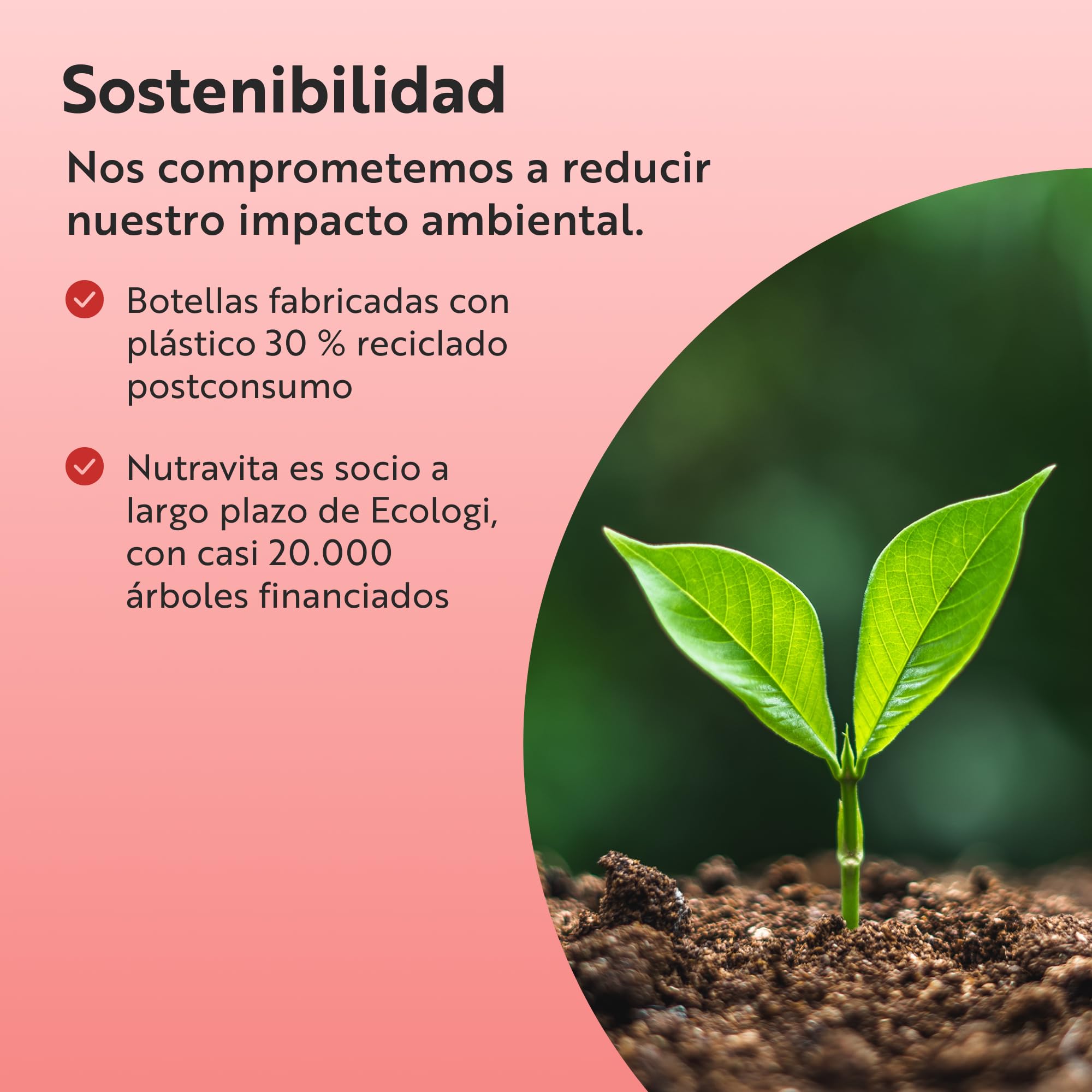 Nutravita TESTOMAX 2.0 para Hombre - Ashwagandha KSM-66, CoQ10, Raíz de Maca - 210 Cápsulas Veganas - Rendimiento Muscular Vigorizante
