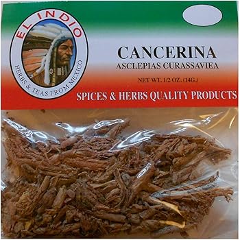 Cancerina Para Que Sirve Y Como Se Prepara Amazon Com Cancerina Hierba Tea 1 Oz Everything Else