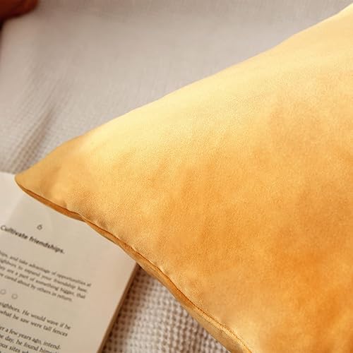 Miniatura 3 de Juego de 2 fundas de almohada decorativas de terciopelo para sala de estar, sofá, dormitorio, fundas de almohada decorativas, 18 x 18 pulgadas,