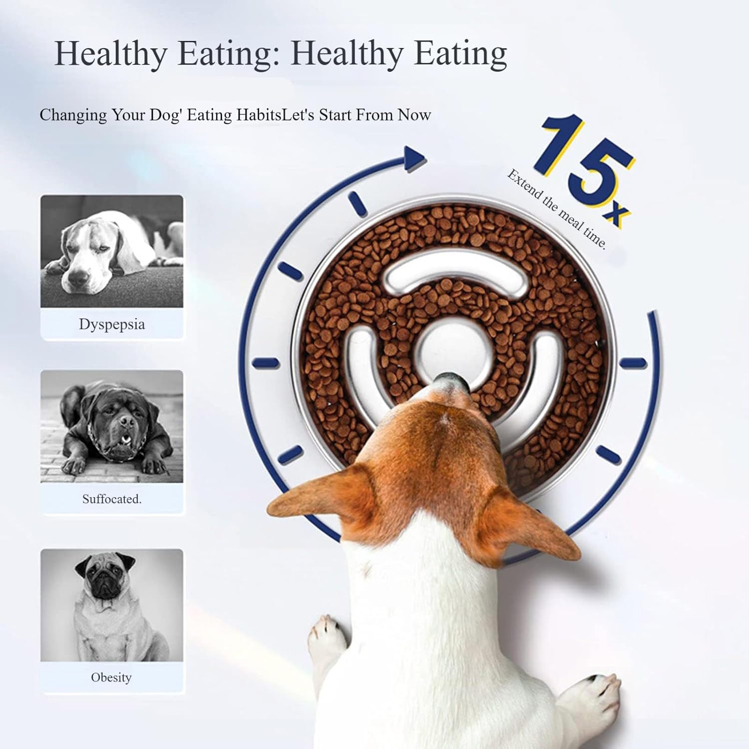 Stainless Steel Pet Feeding Dish Multipurpose Pet Slow Feeder Bowl Watering Dish for Small Puppy Kittens Dog Slow