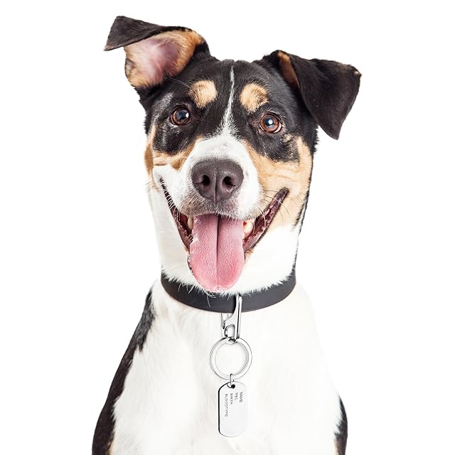 Foto 4 de 8 de Jovitec 3 juegos de etiquetas de perro duraderas con anillos para perros y gatos, collares y arneses