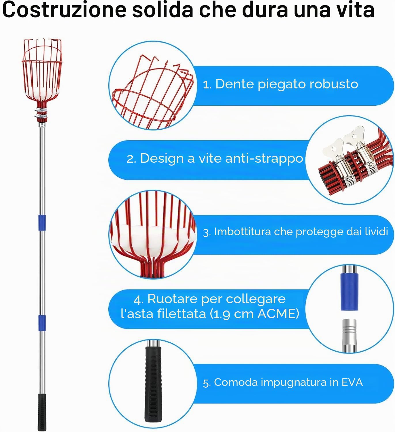Raccoglitore di Frutta, Raccogli Frutta Olive Cachi Mela Arancia, Raccoglitrice con Palo in Acciaio Inox Leggero con Cuscinetto di Protezione, Strumento per Raccolta della Frutta Alto 4m Fruit Picker